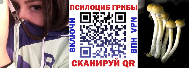 KRAKEN ссылки  Донецк  shop наркотические препараты  Псилоцибиновые грибы прущие грибы 